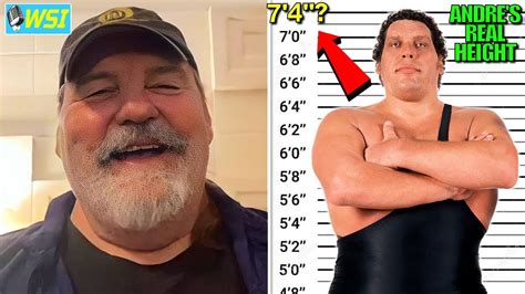 andre the giant stats|andre the giant real size.